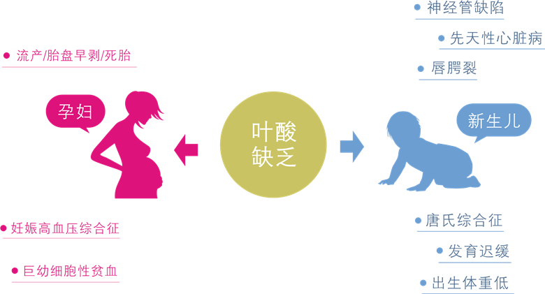 叶酸及维生素b12基因检测